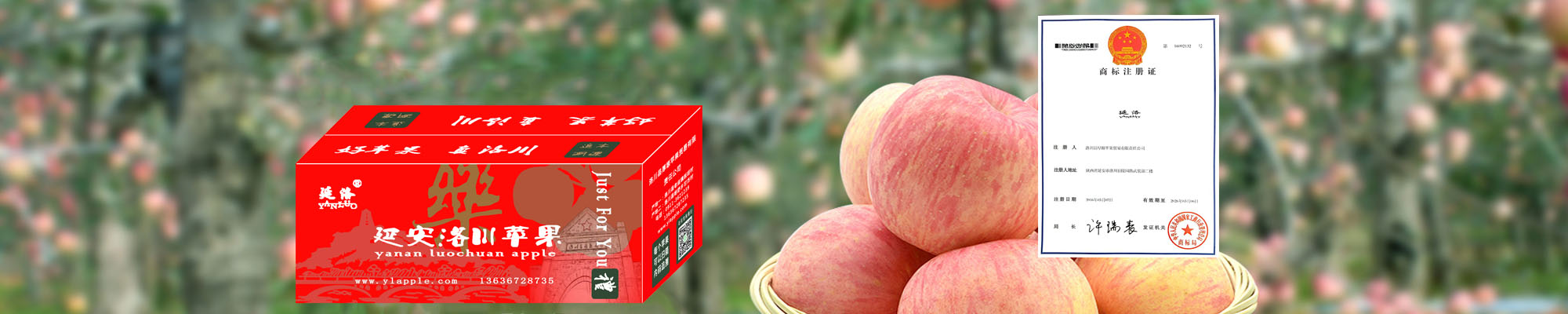 延安洛川苹果正式注册商标