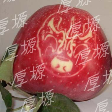 洛川贴字艺术苹果