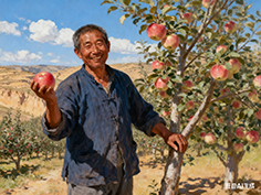 延安洛川苹果：加快建设苹果高质量发展